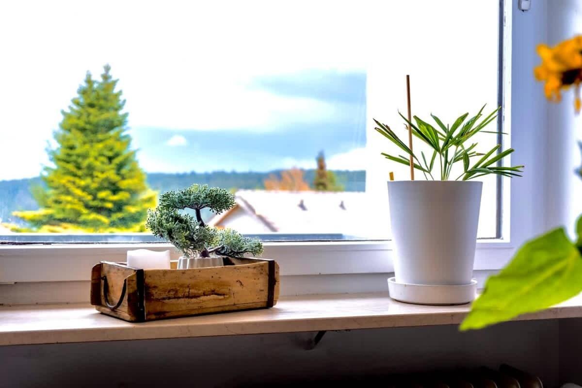 Relaxapartments Black Forest Nature Mit Beheiztem Indoor-Pool Und Sauna - Sonnenbalkon Mit Blick Ins Gruene, Schnelles Internet, Naehe Triberger Wasserfaelle, Fuer Bis Zu 2 Personen Schönwald Ngoại thất bức ảnh